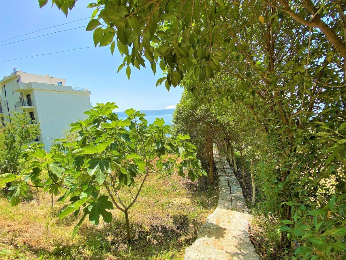 Ramo'S Cozy Beachside Haven With Panoramic Views - 1St Avlonya Dış mekan fotoğraf